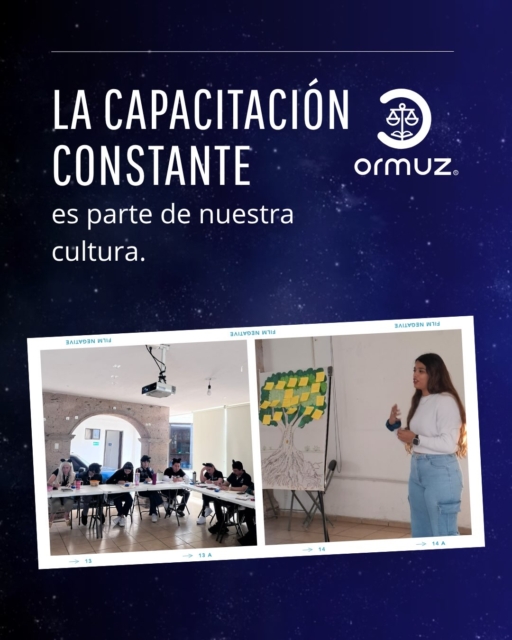 En Ormuz sabemos que el mundo legal y el sector asegurador están en constante cambio. Por eso, seguimos aprendiendo para mantenernos siempre actualizados. 🚀

Constantemente organizamos espacios de capacitación para compartir conocimientos, actualizar procesos y fortalecer nuestras habilidades.

Porque crecer como equipo también significa estar preparados para lo que viene. 📚✨

#Ormuz #Capacitación #AprendizajeContinuo #EquipoOrmuz #Actualización